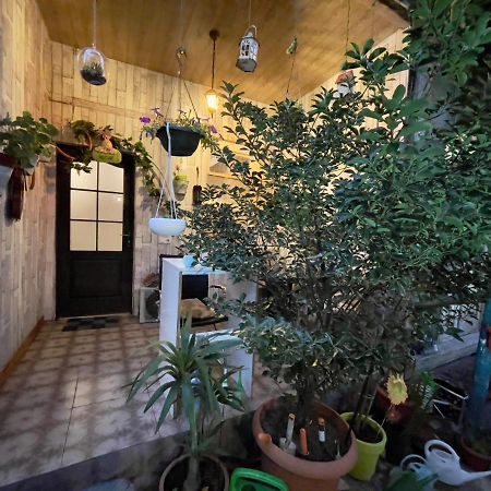 Mr Guest House Tbiliszi Kültér fotó