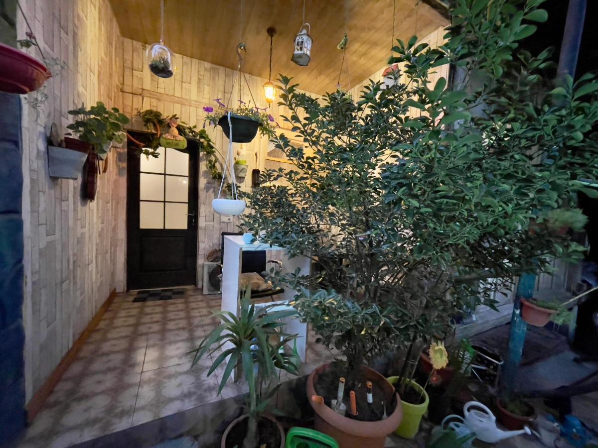 Mr Guest House Tbiliszi Kültér fotó